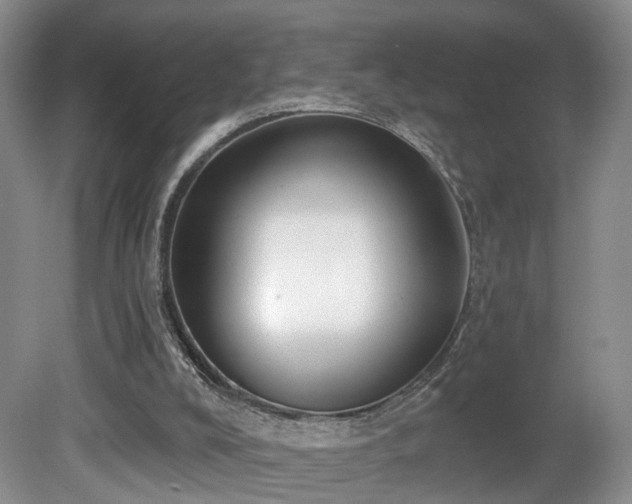 X0000081580008200701151255