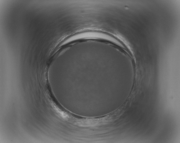 X0000081580009200701151255