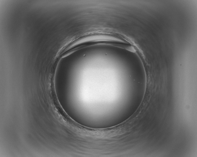 X0000081580010200701151255