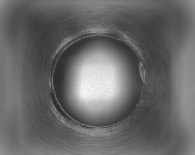 X0000081580011200701151255