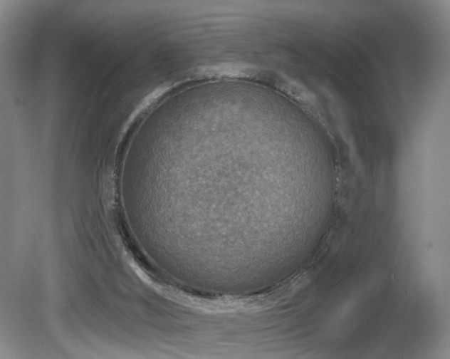 X0000081580012200701151255