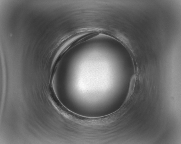 X0000081580013200701151255