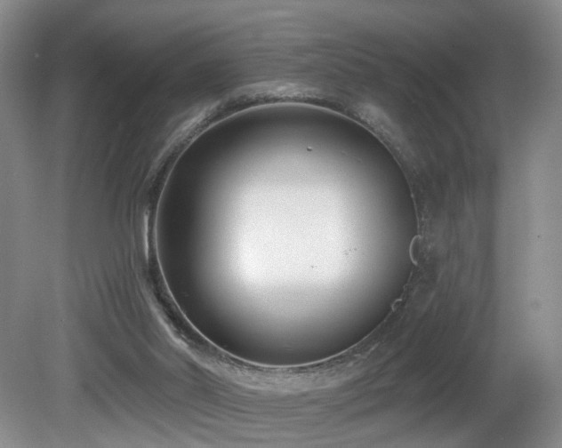 X0000081580014200701151255