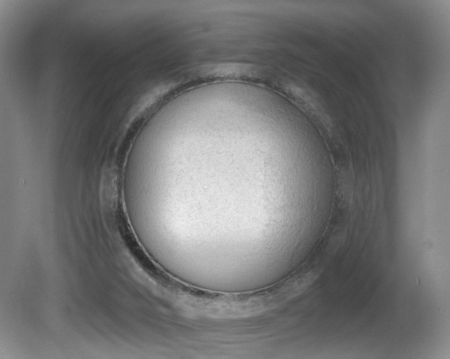 X0000081580016200701151255