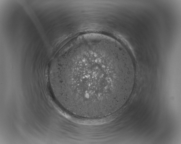 X0000081580017200701151255