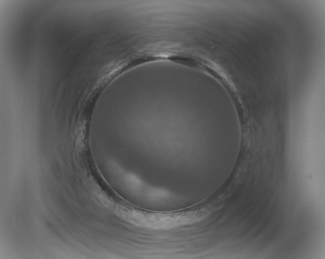 X0000081580018200701151255