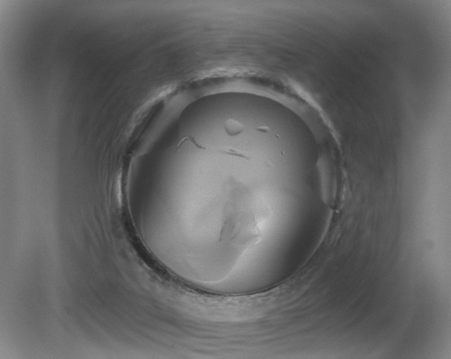 X0000081580019200701151255