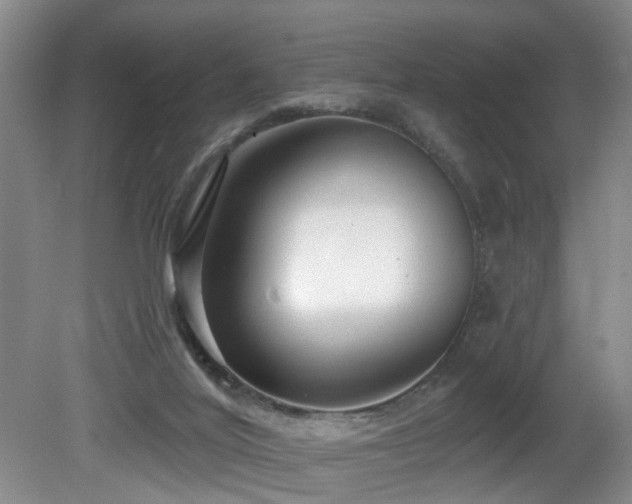 X0000081580020200701151255