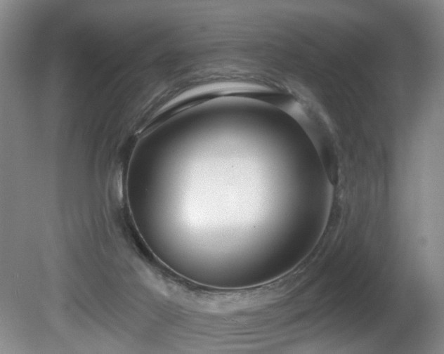 X0000081580021200701151255