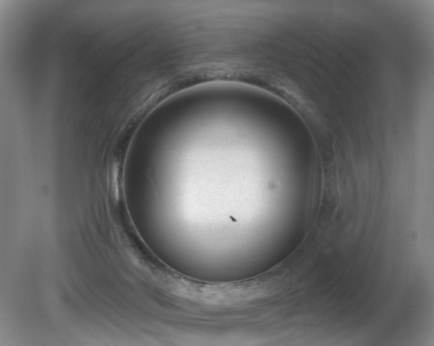 X0000081580022200701151255