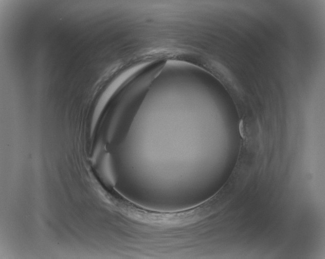 X0000081580023200701151255