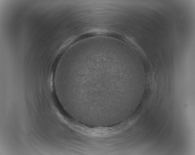 X0000081580024200701151255