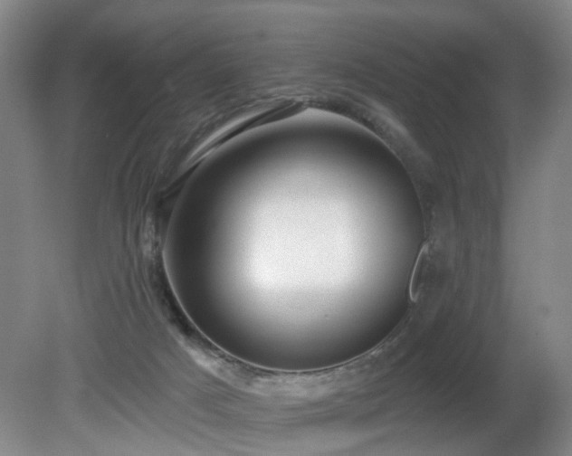 X0000081580025200701151255