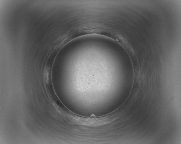 X0000081580026200701151255