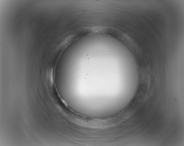 X0000081580028200701151255