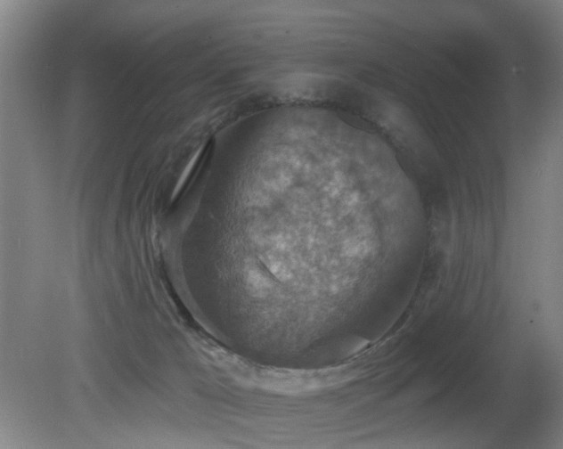 X0000081580029200701151255