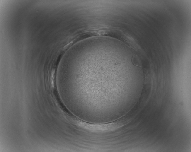 X0000081580030200701151255