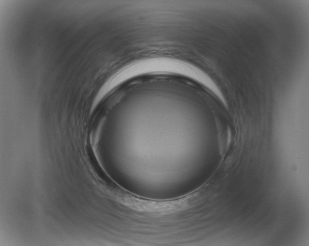 X0000081580031200701151255