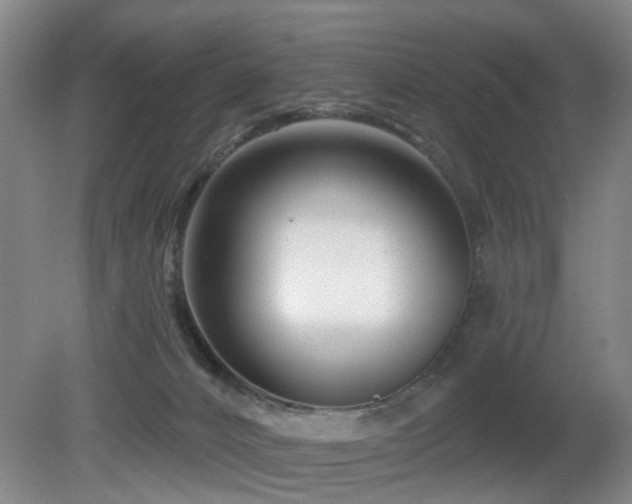 X0000081580032200701151255