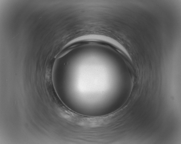 X0000081580033200701151255