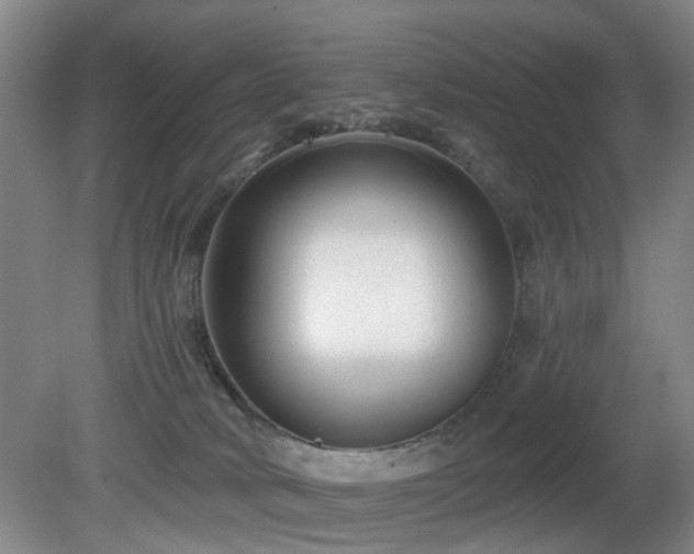 X0000081580034200701151254