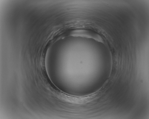 X0000081580035200701151254