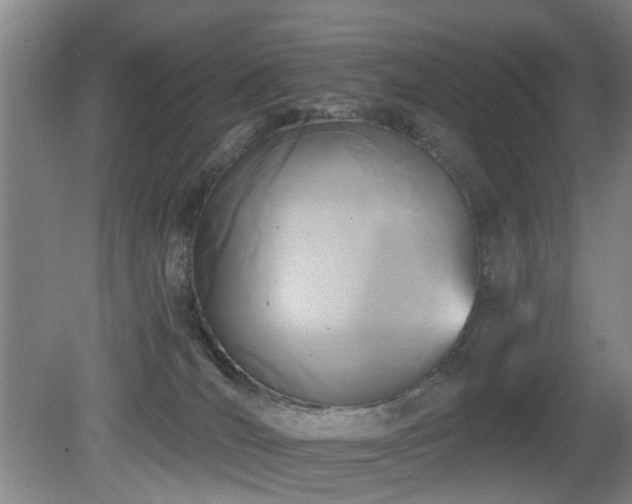 X0000081580036200701151254