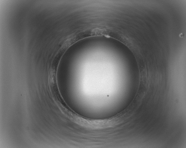 X0000081580038200701151254