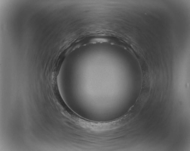 X0000081580039200701151254