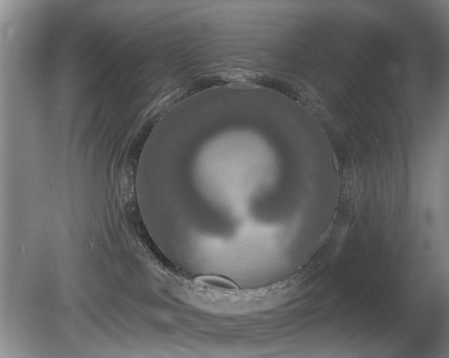 X0000081580043200701151254