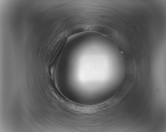 X0000081580044200701151254