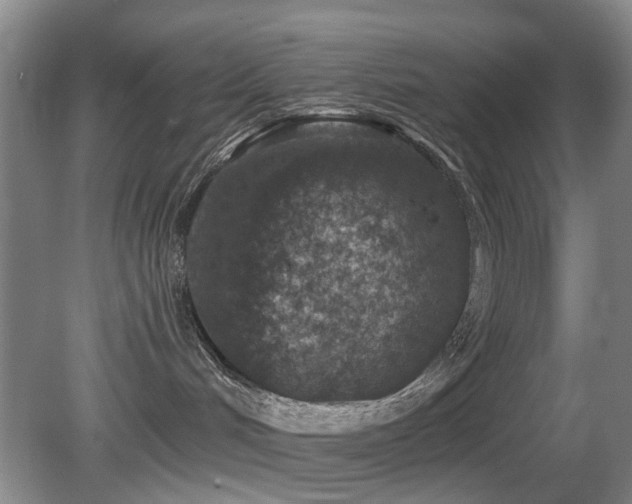 X0000081580048200701151254