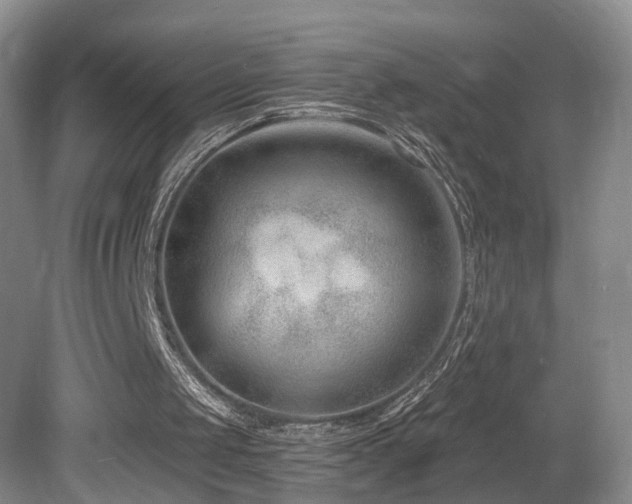 X0000081580049200701151253