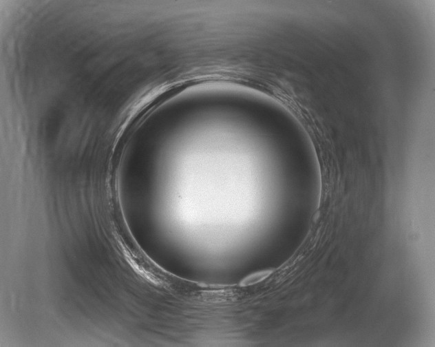 X0000081580050200701151253