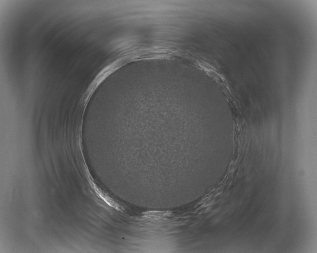 X0000081580051200701151253