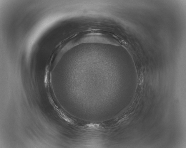 X0000081580052200701151253