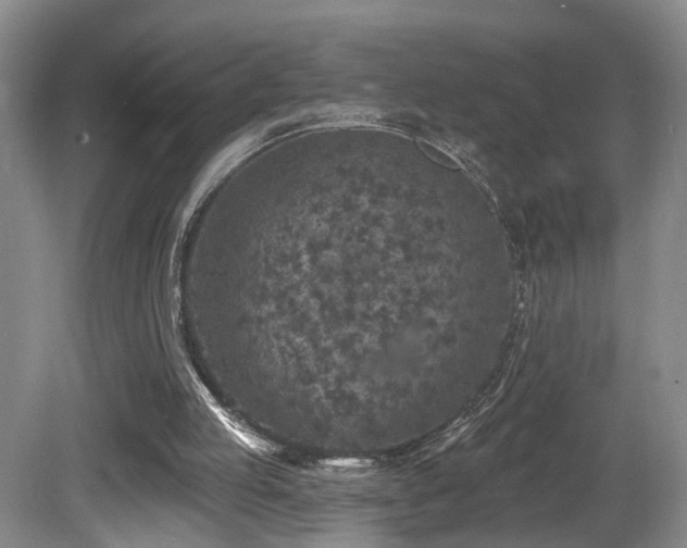 X0000081580053200701151253