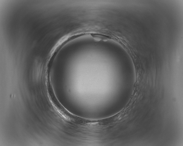 X0000081580054200701151254