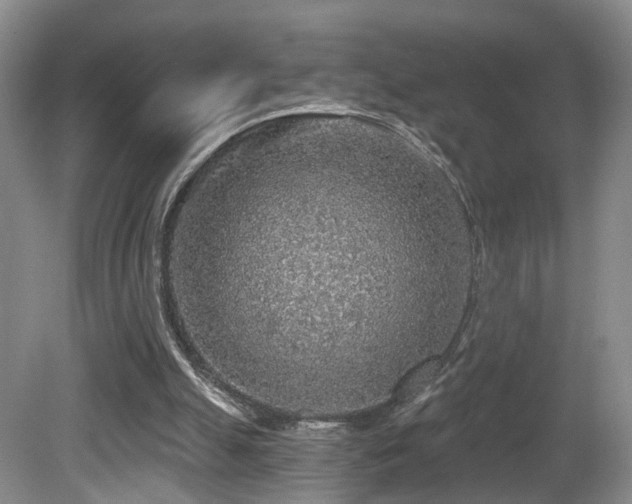 X0000081580055200701151254