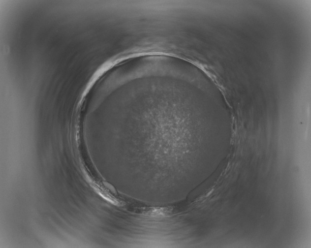 X0000081580056200701151254