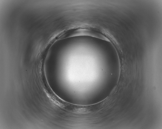 X0000081580058200701151254