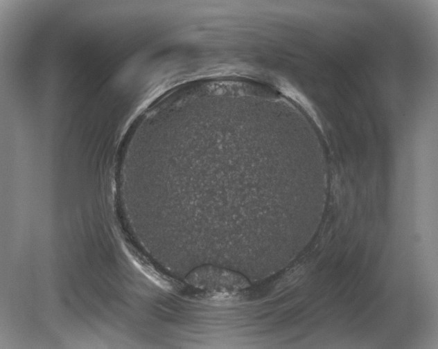 X0000081580059200701151254