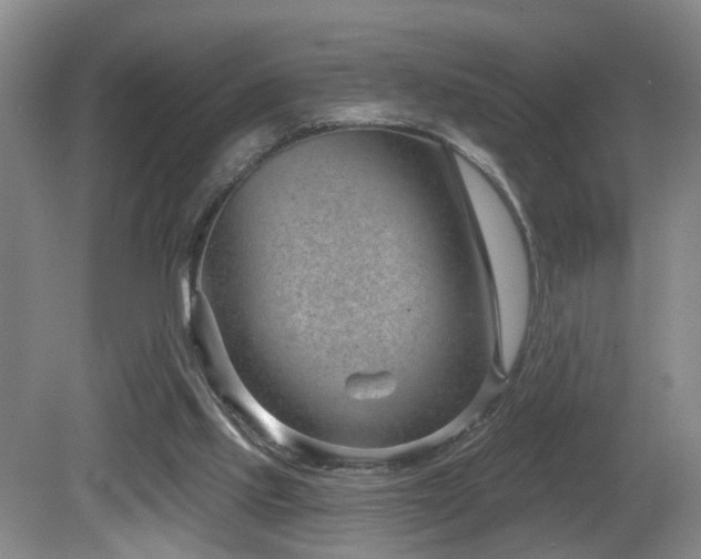 X0000081580061200701151254