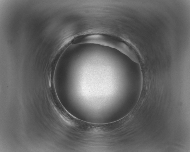 X0000081580062200701151254