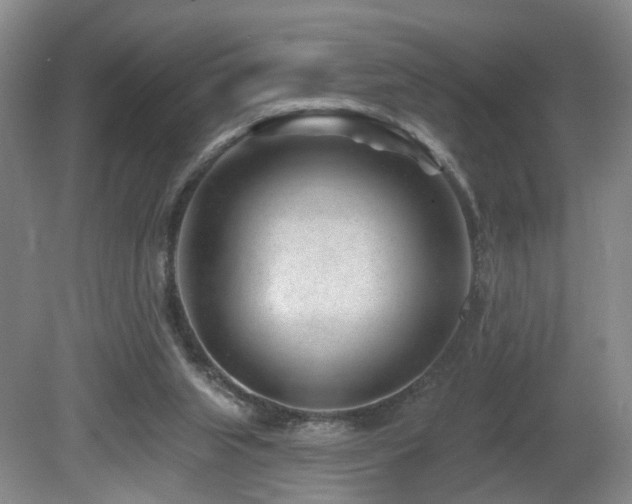 X0000081580063200701151254