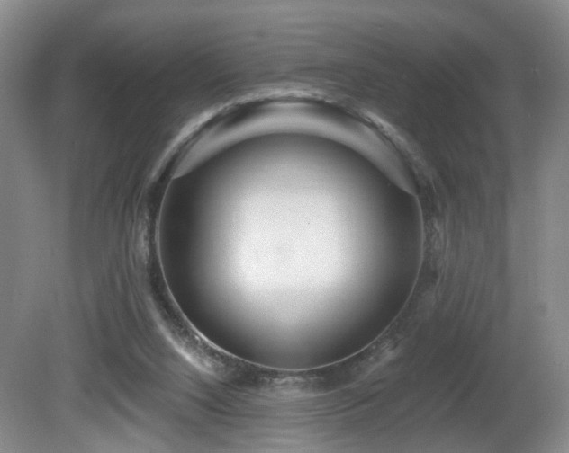 X0000081580064200701151254