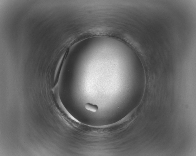 X0000081580065200701151254