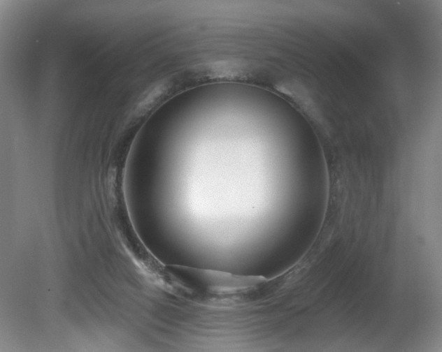 X0000081580066200701151254