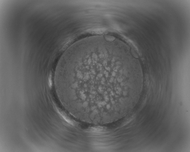 X0000081580069200701151254