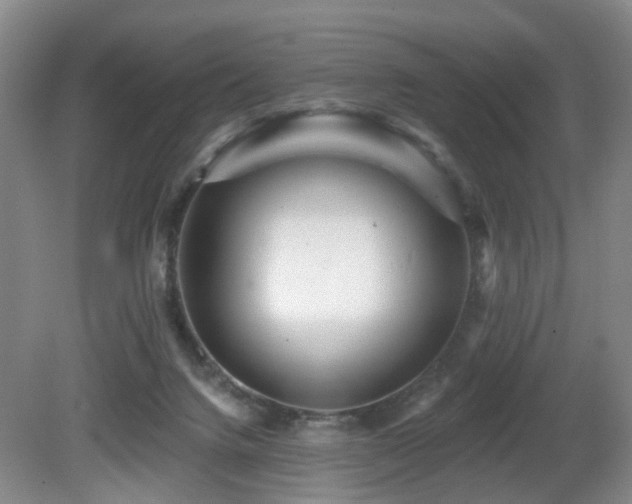 X0000081580072200701151254